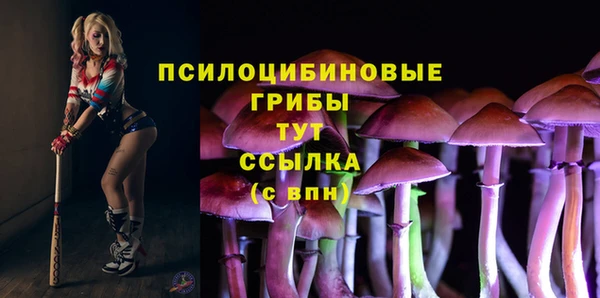 spice Каменногорск