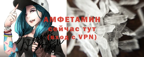 apvp Каменка