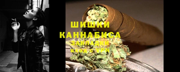 apvp Каменка
