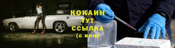 spice Каменногорск