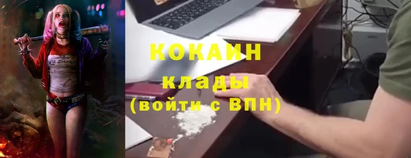 apvp Каменка