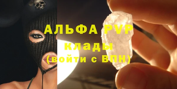 spice Каменногорск
