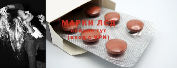 apvp Каменка
