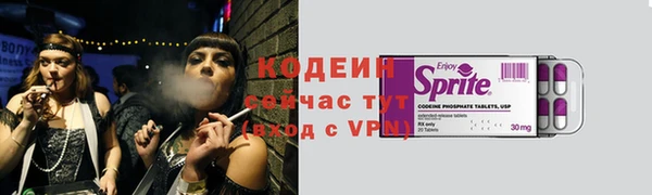 apvp Каменка