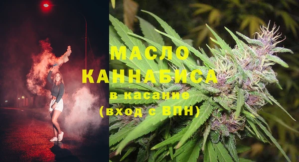 apvp Каменка