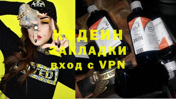 apvp Каменка